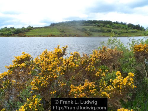 Lough Nasool